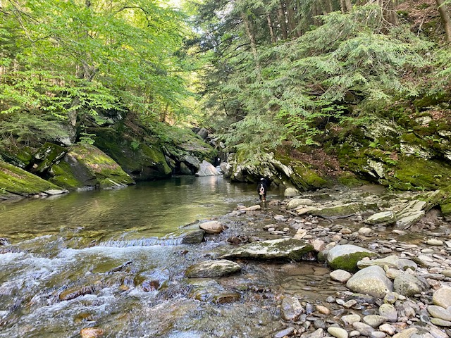 Brewster River Campground Vermont Waterfalls Nature and Camping