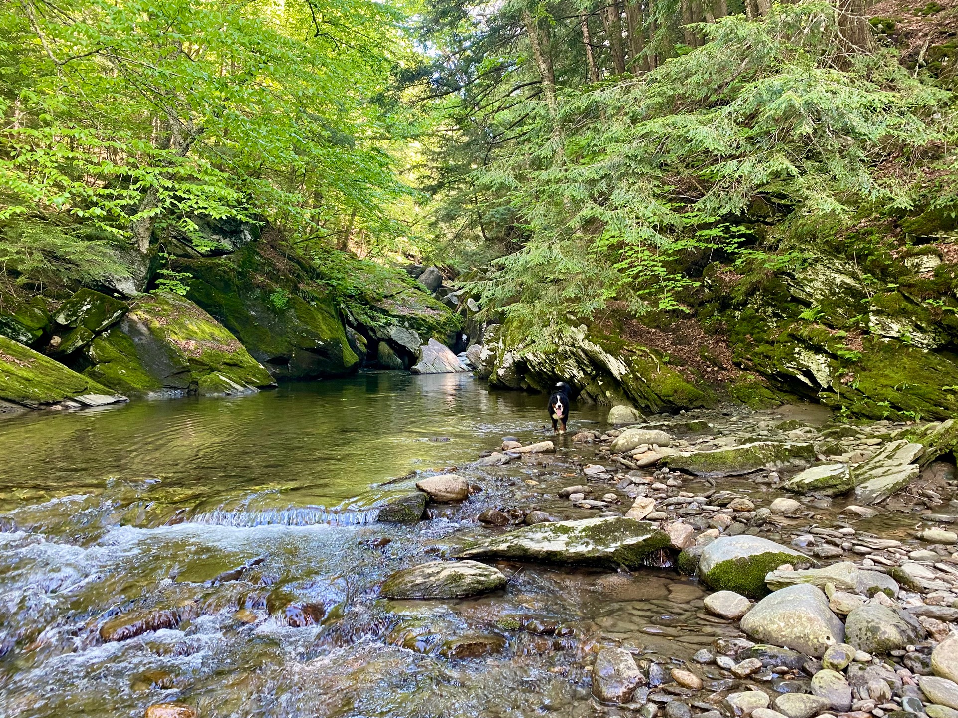 Brewster River Campground Vermont Waterfalls Nature and Camping